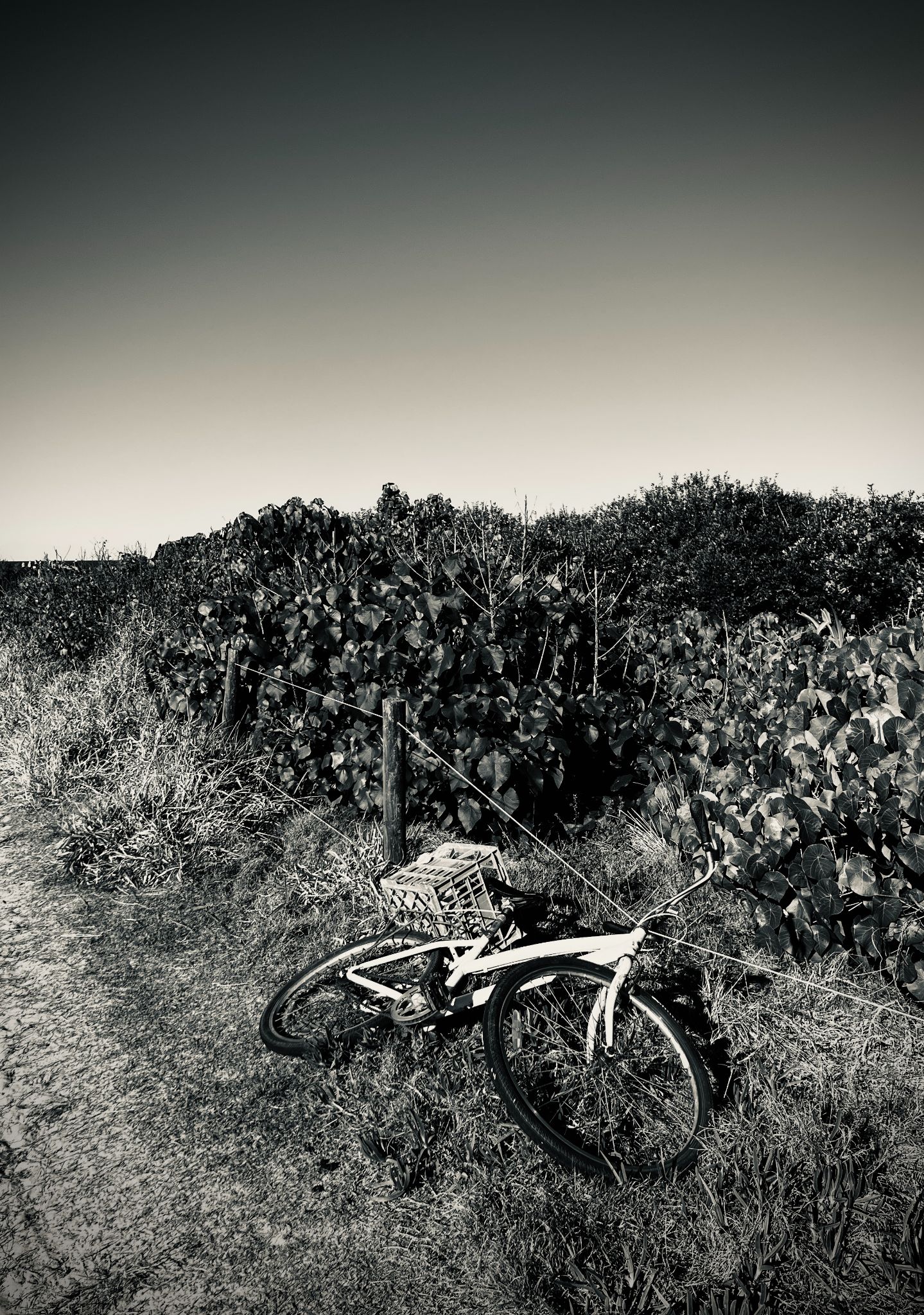 I took the one less traveled